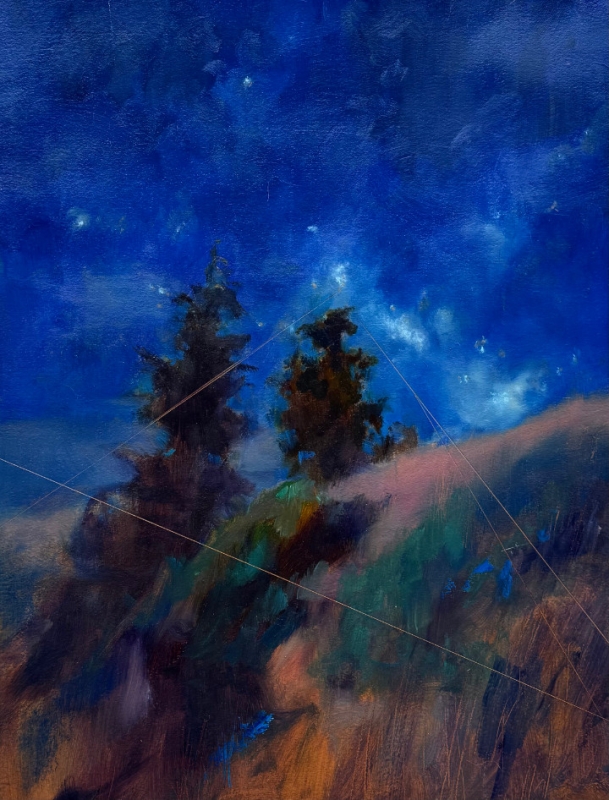 Starry Night by artist Beverly Dennis
